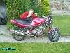 487 photo